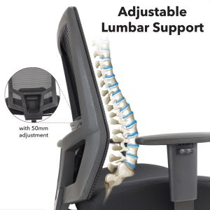 heavy duty office chair mesh adjustable lumbar support description