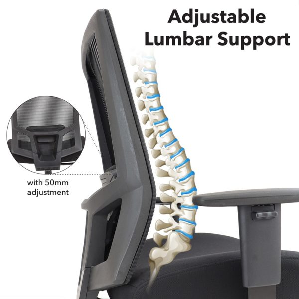 heavy duty office chair mesh adjustable lumbar support description