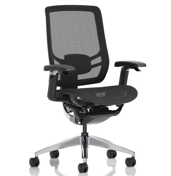 Ergonomic Posture Office Chair Telford - Image 2