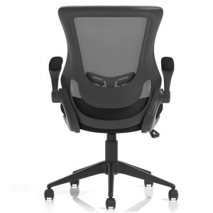 mesh back office chair back view
