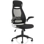 mesh back executive office chair black