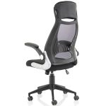 mesh back executive office chair black back view