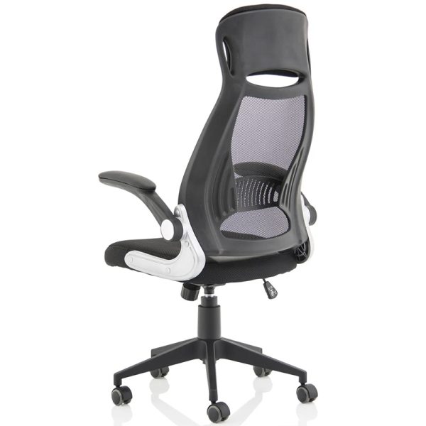 mesh back executive office chair black back view
