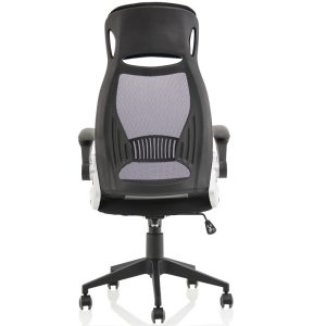 mesh back executive office chair back view