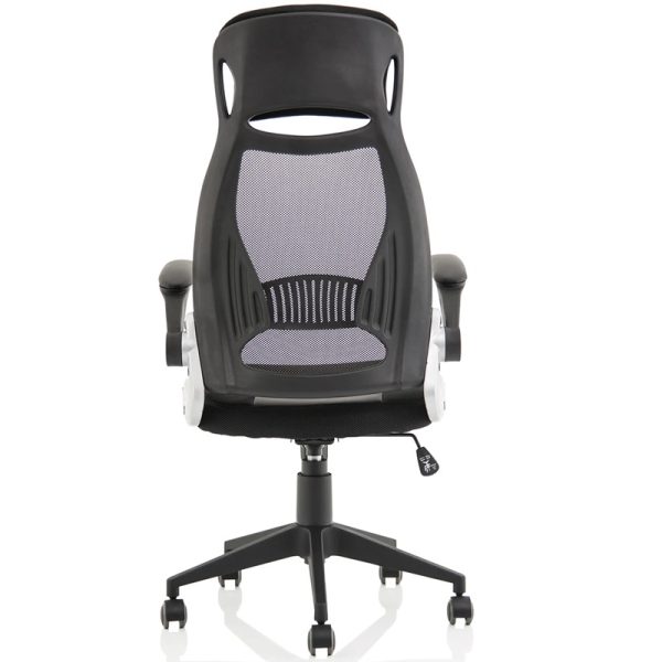 mesh back executive office chair back view
