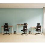 mesh back task operator chairs in front of three height adjustable desks at different levels in office with green wall