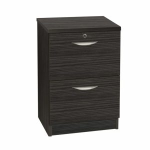 2 drawer filing cabinet in black
