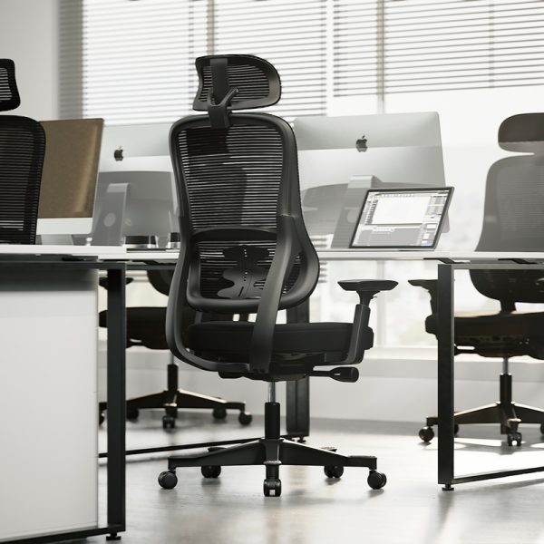 ergonomic office chair with mesh back