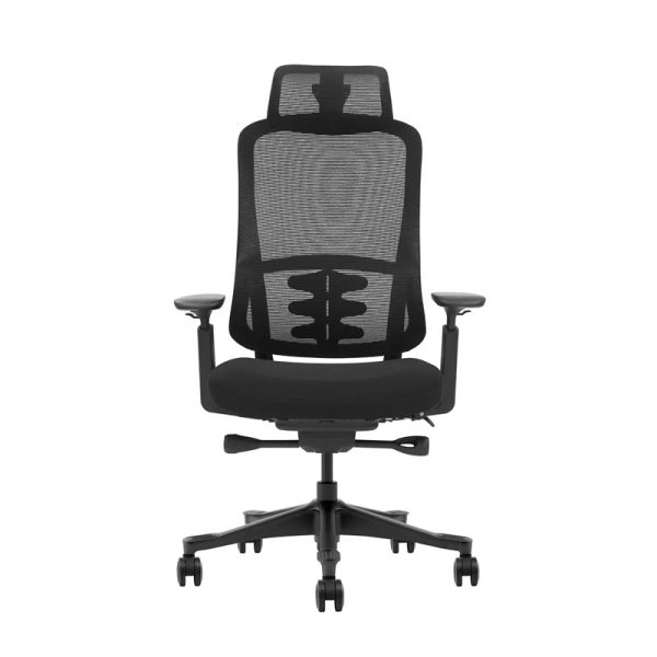 ergonomic office chair with mesh back and headrest