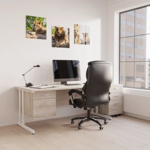 leather executive chair in home office inf front of office desk