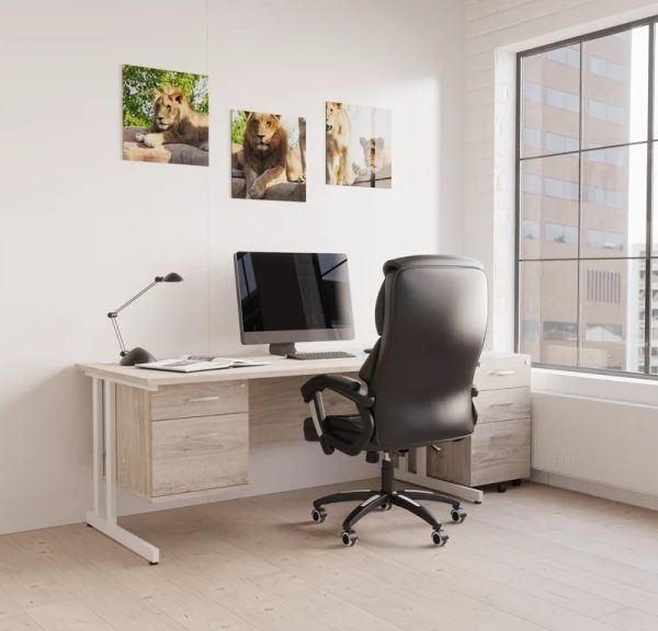 leather executive chair in home office inf front of office desk