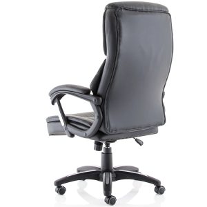 leather executive office chair back view