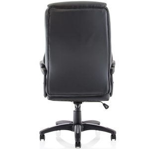 leather executive office chair back view
