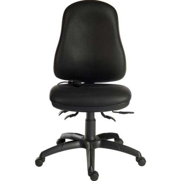 Wipe Clean Ergonomic Executive Operator Chair With Pump Up Lumbar Support - Image 2