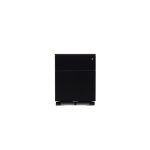 2 drawer filing pedestal black