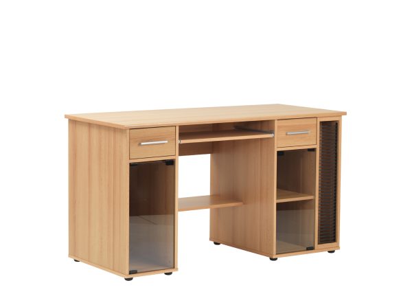 Ace Computer Desk 007